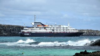 シルバーガラパゴス（Silver Galapagos）