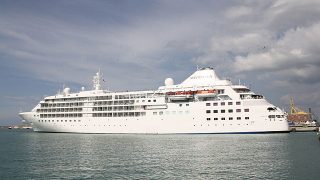 シルバークラウド（Silver Cloud）